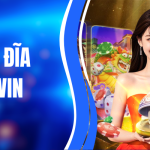 Tổng Hợp Cách Chơi Xóc Đĩa Ít Rủi Ro Nhất 2026 1 Tổng Hợp Cách Chơi Xóc Đĩa Ít Rủi Ro Nhất 2026